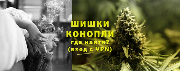 МДПВ Богородицк