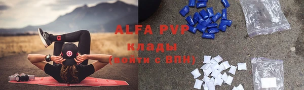 винт Богданович