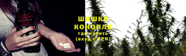 МДПВ Богородицк