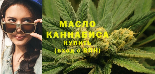 МДПВ Богородицк