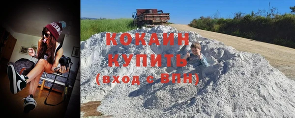 винт Богданович