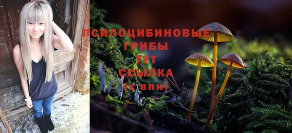 МДПВ Богородицк