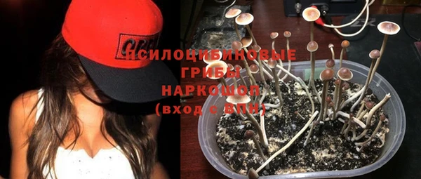 МДПВ Богородицк