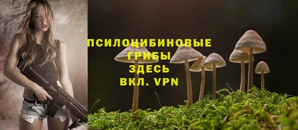 гидропоника Богородск