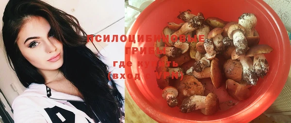 гидропоника Богородск