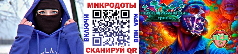 Псилоцибиновые грибы Magic Shrooms  Купить где  Богданович 